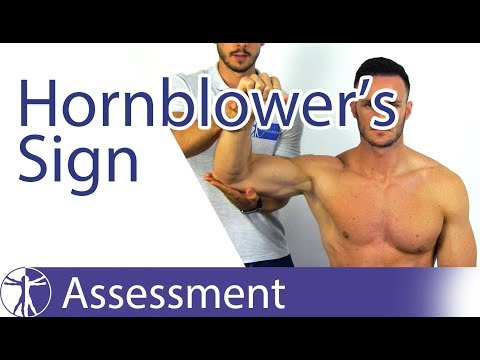 Hornblower's Sign | Teres Minor & Infraspinatus Insufficiency