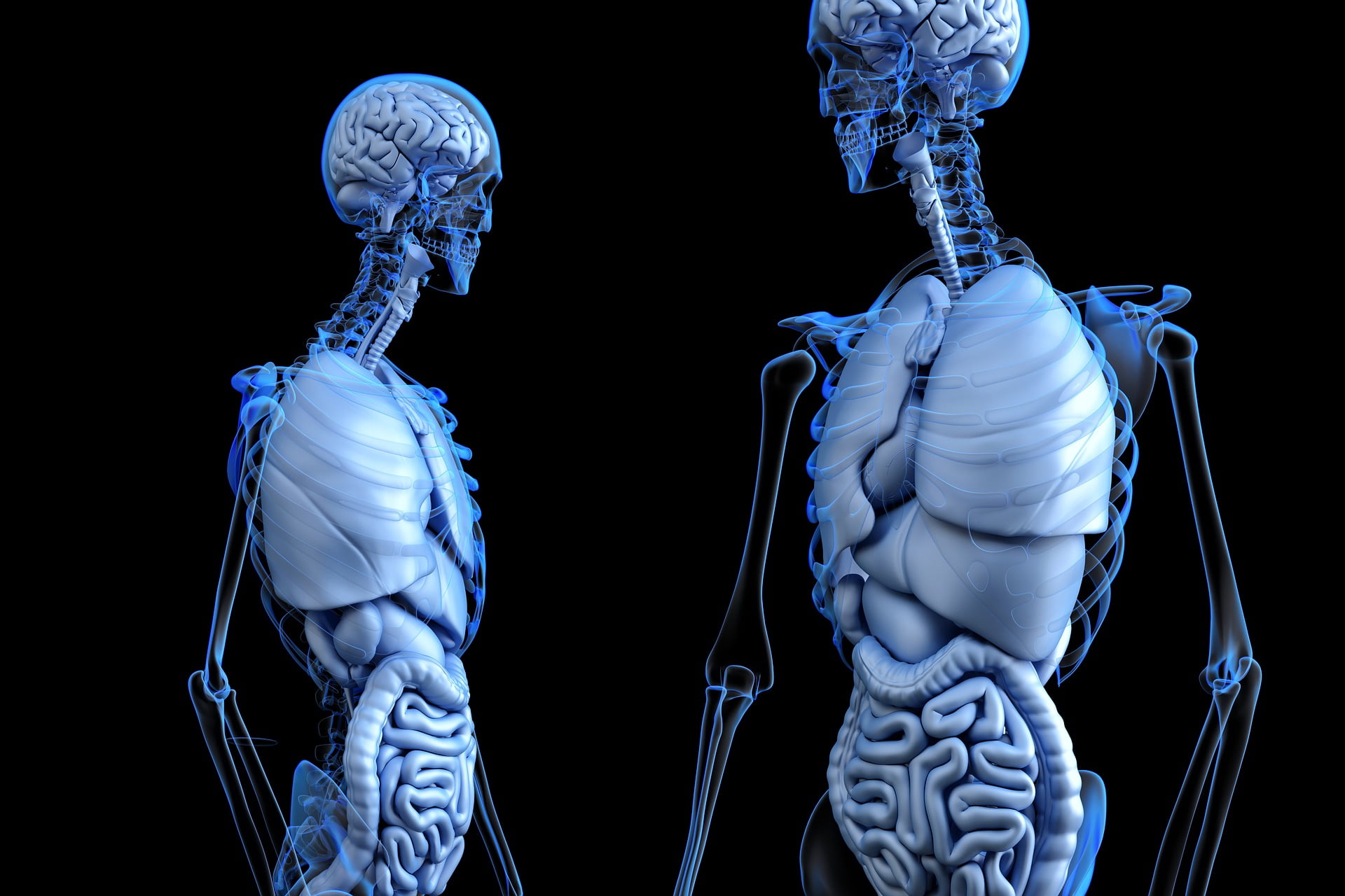 Physiology cover