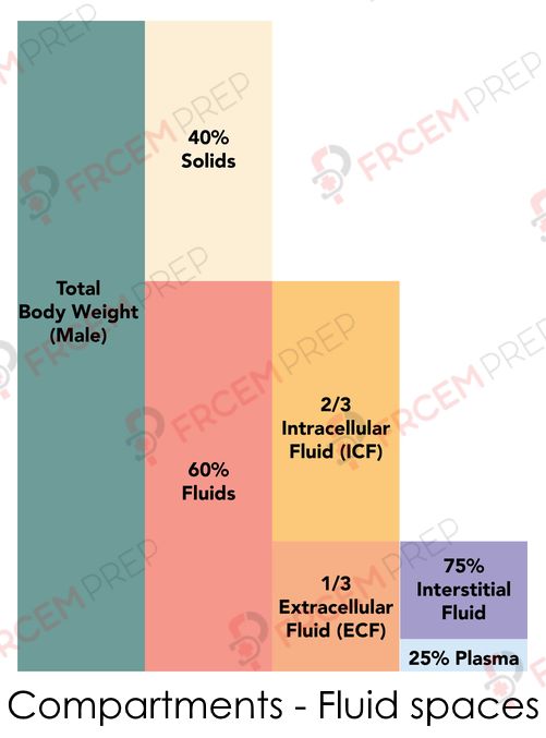 Compartments and fluid spaces in human body 